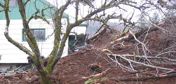 Landslide near a house with lots of broken trees.