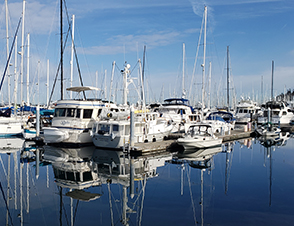 Boats at a Seattle marina.