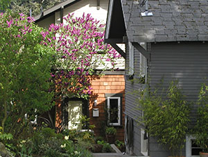 Accessory dwelling unit behind a house.