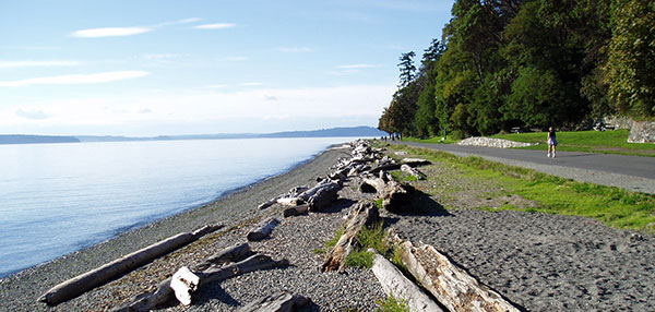 West Seattle shoreline with driftwood logs.
