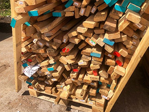 Lumber to be reused in construction projects.