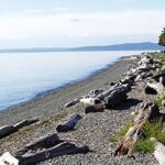 Floodplains in West Seattle